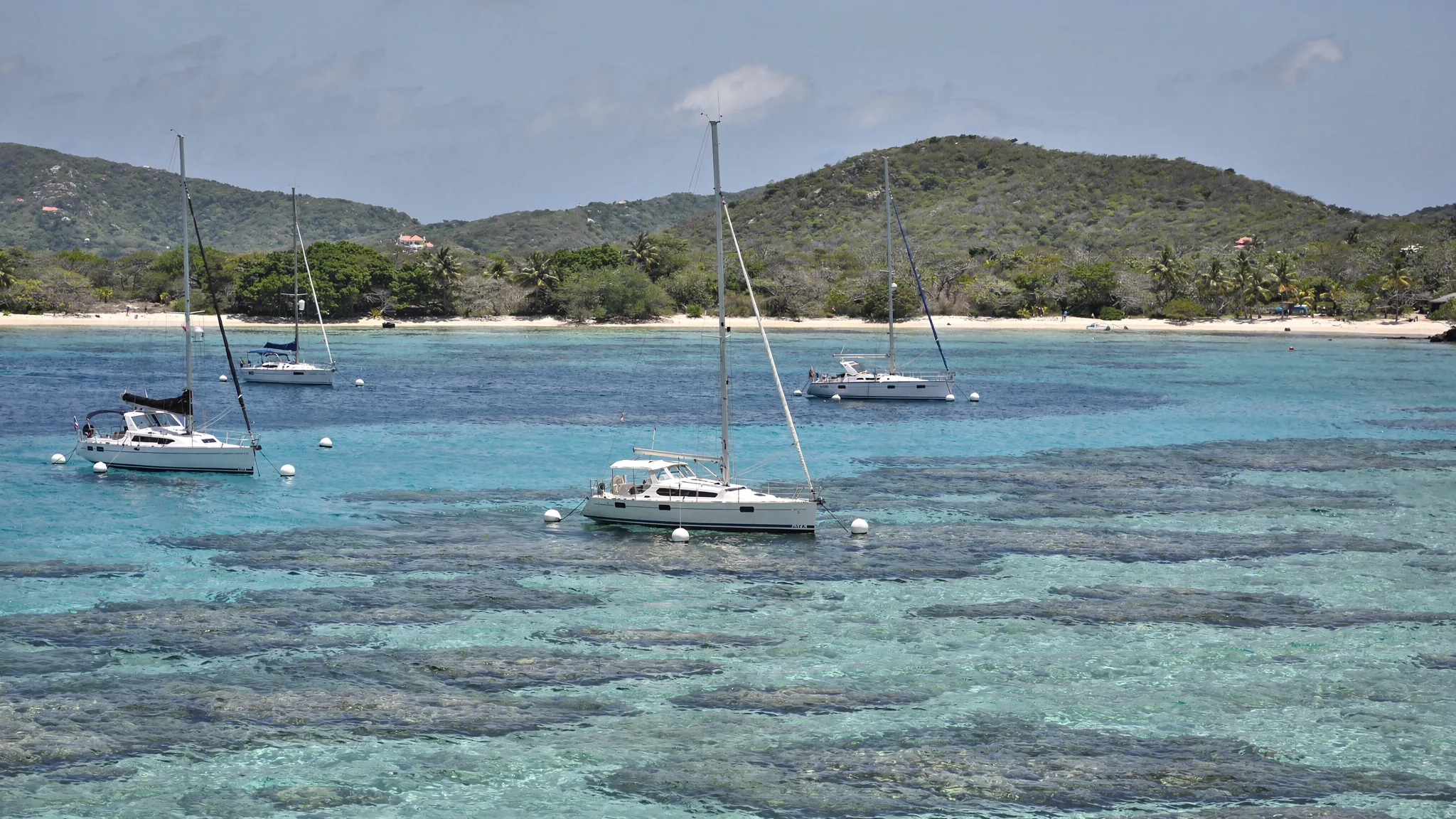 A calm tropical anchorage in the British Virgin Islands with several sailing yachts on mooring balls, turquoise water showing reef patches, and a low green shoreline under a clear sky.