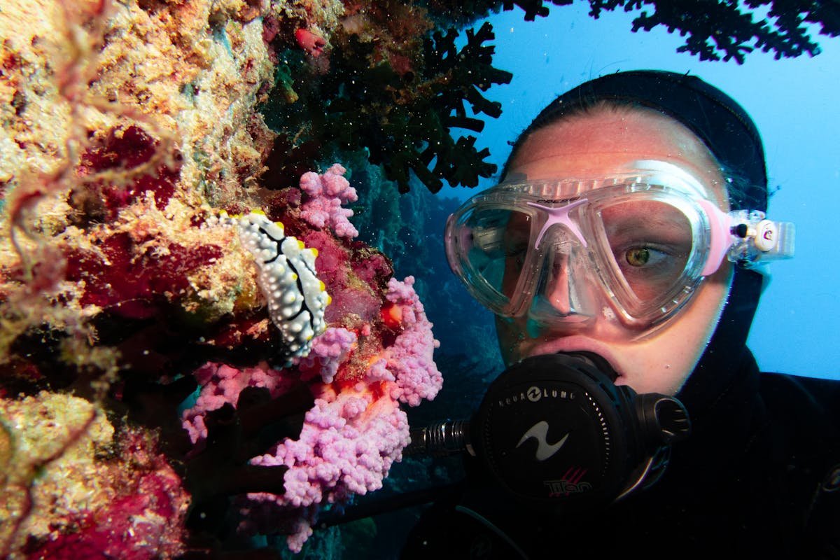 A snorkeler hovers above a colorful coral reef surrounded by tropical fish in clear blue Caribbean water