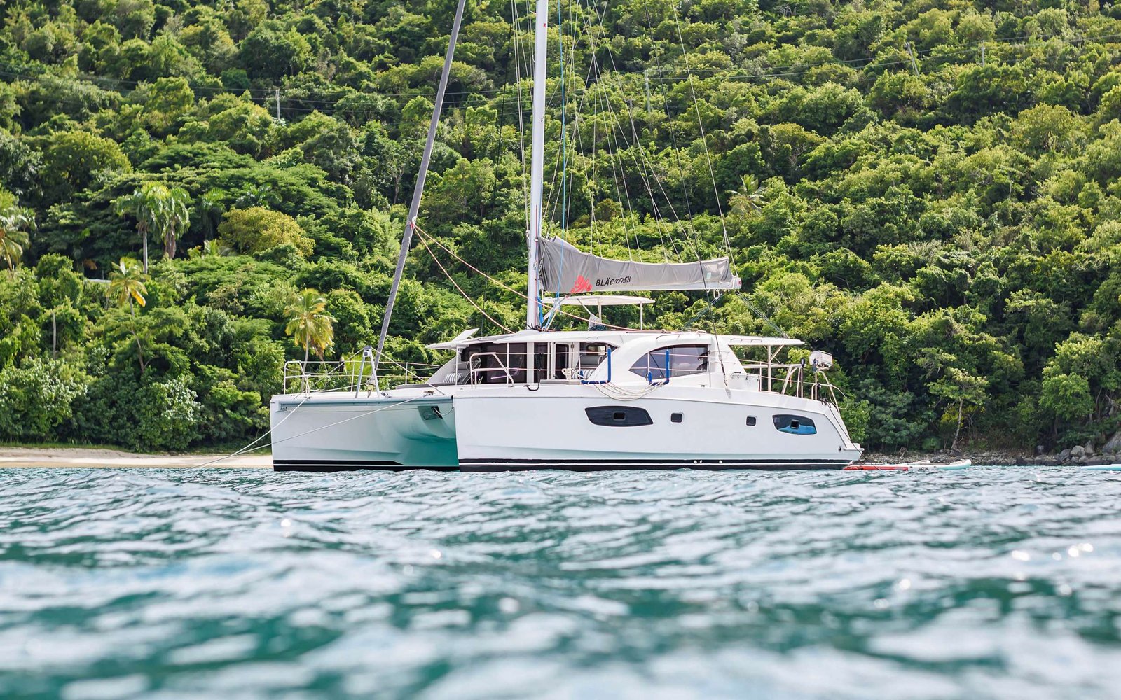 White catamaran anchored near a lush tropical shoreline with dense green trees and calm turquoise water