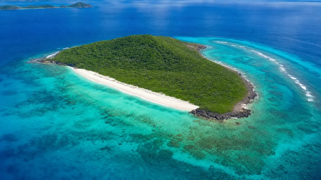 Buck Island Reef: Best of the US Virgin Islands