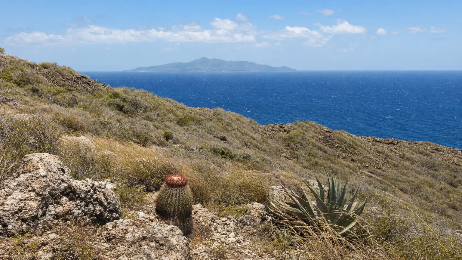 Dry scrub and cactus on the hillside of Île Fourchue with the Caribbean sea beyond