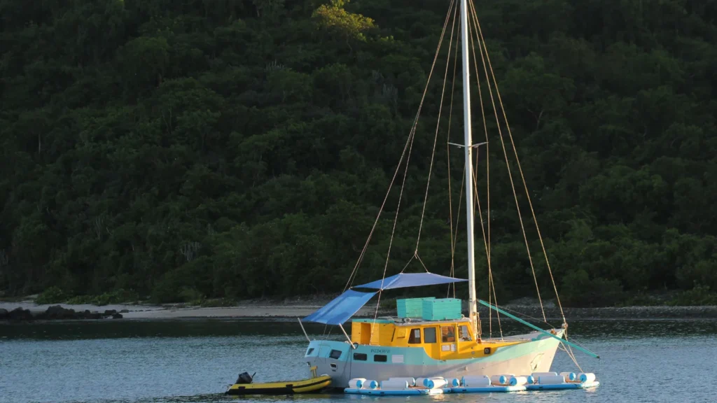 Pizza Pi: Best of the US Virgin Islands