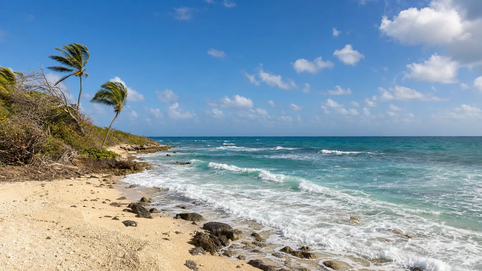 Shaded sand strip at Salt Whistle Bay with Atlantic surf on the windward side of Mayreau