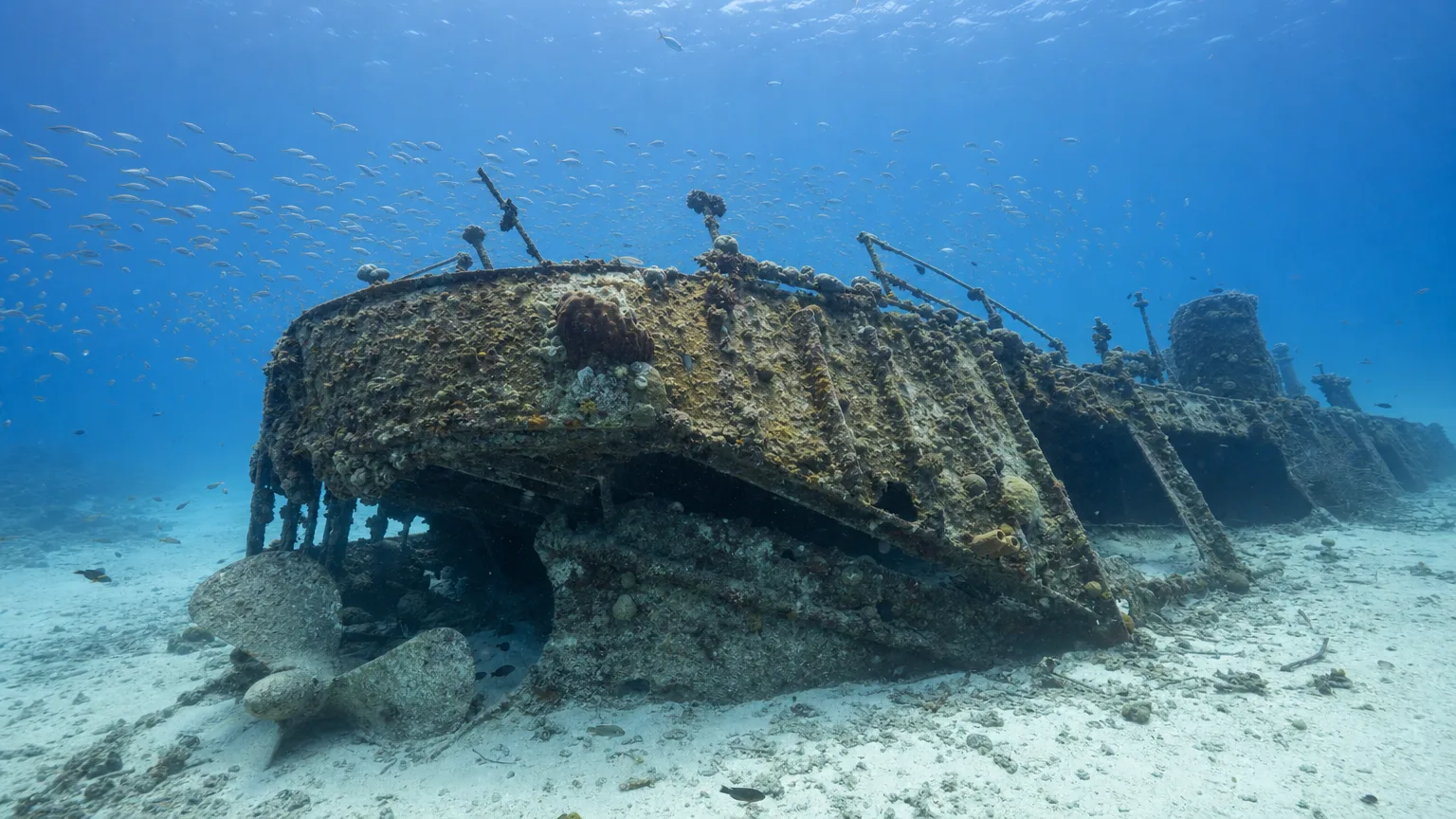 Coral-encrusted shipwreck with exposed propeller on a sandy Caribbean seabed