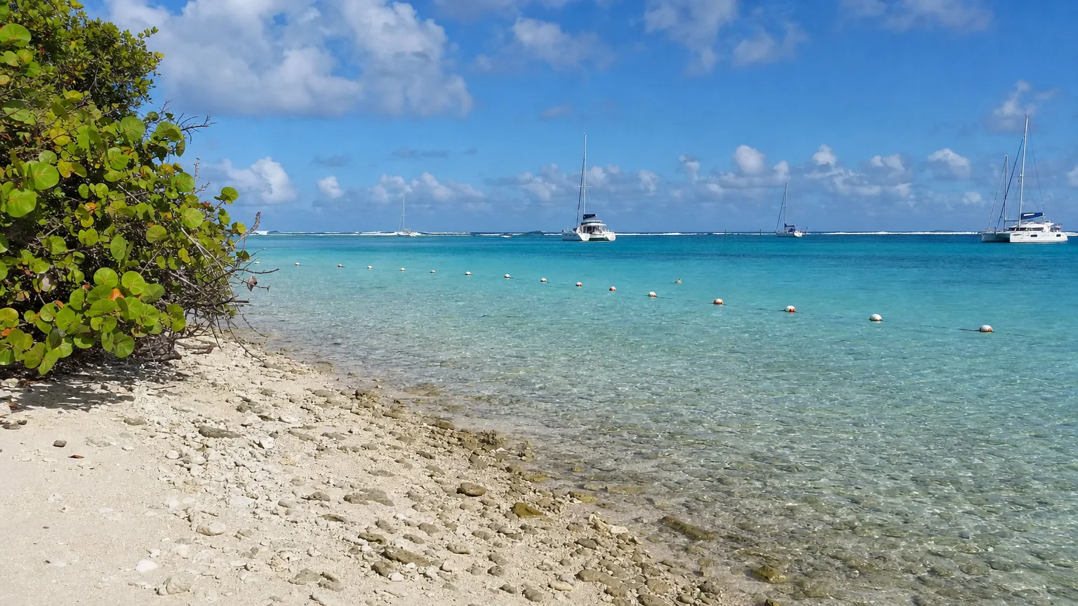 Marker buoys curving across shallow water off Baradal's beach in the Tobago Cays