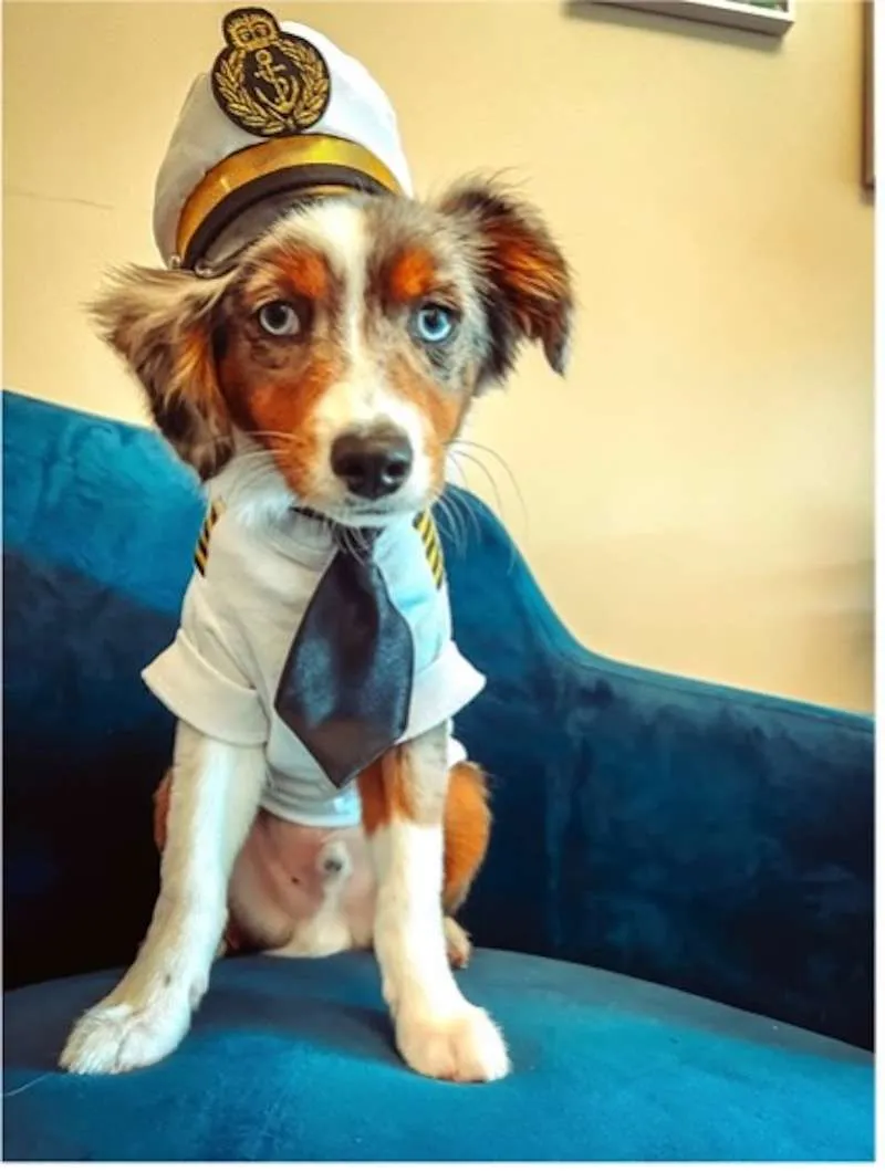 Reef Lead Deck Dog