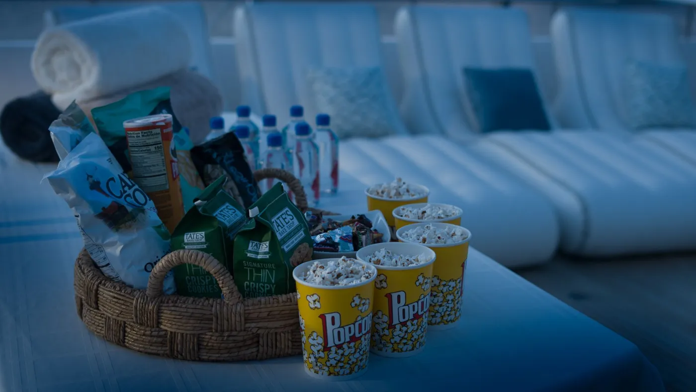 <p>Outdoor Cinema Setup</p>