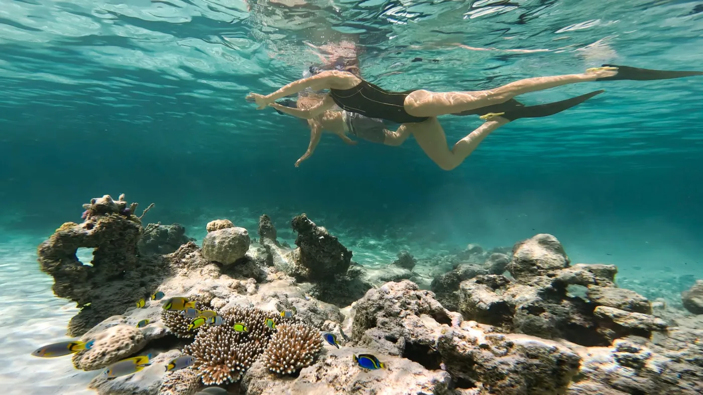 <p>Snorkeling</p>