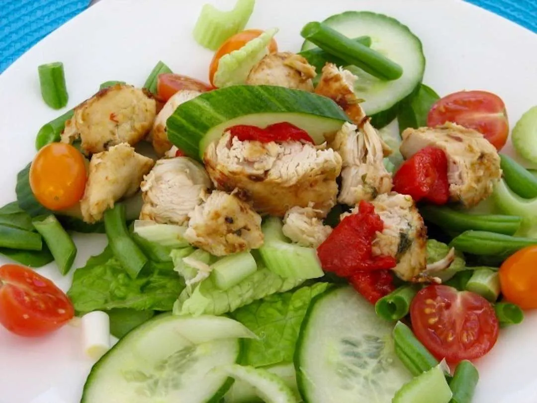 TURQUOISE TURTLE