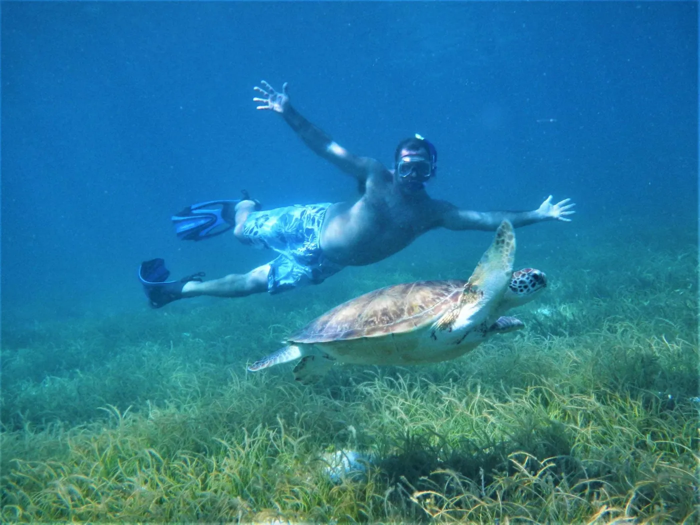 <p>GENESIS guest snorkeling with turtle</p>