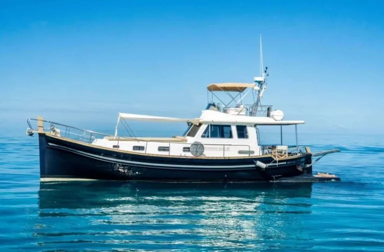 Buccara XV