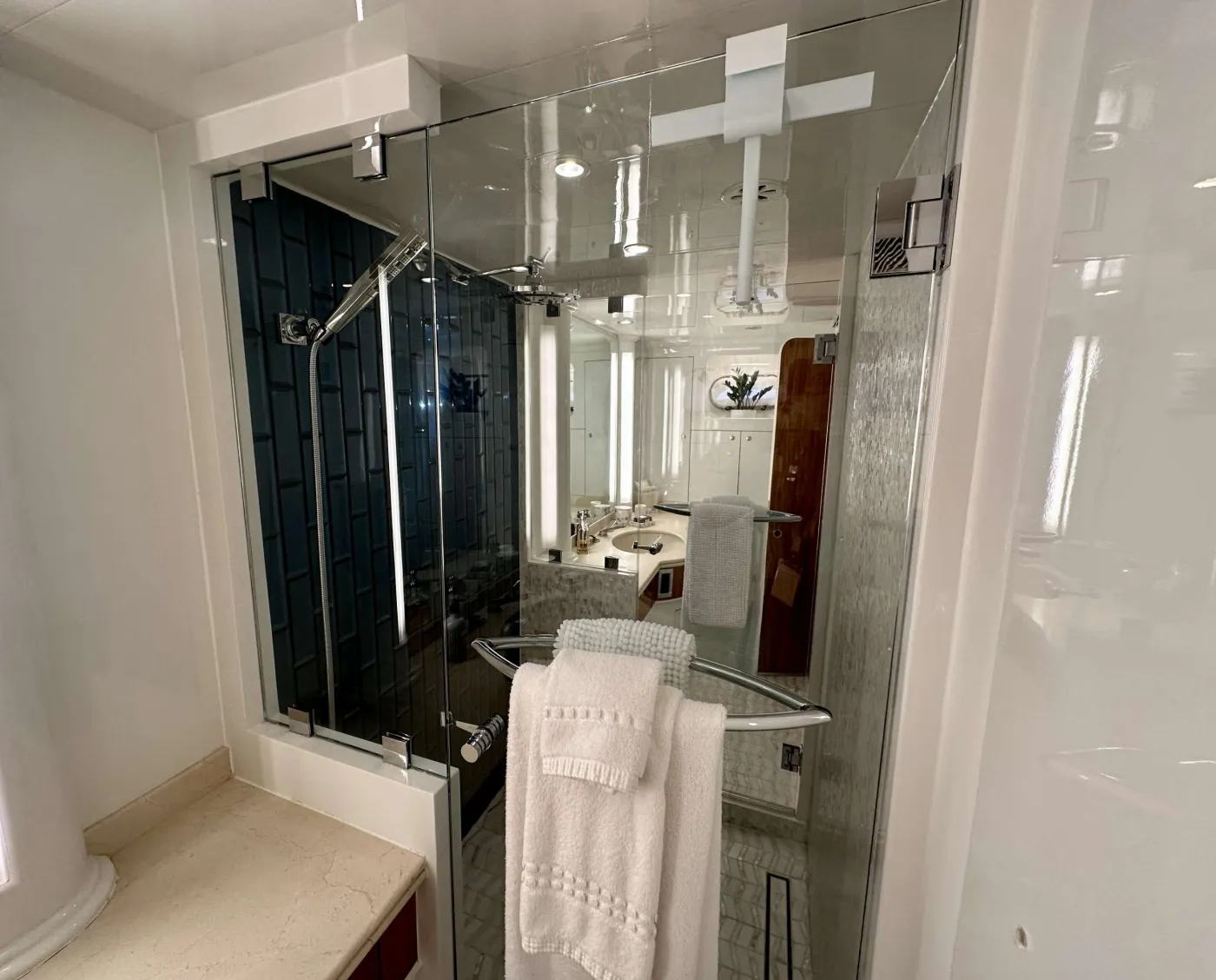<p>Master shower</p>